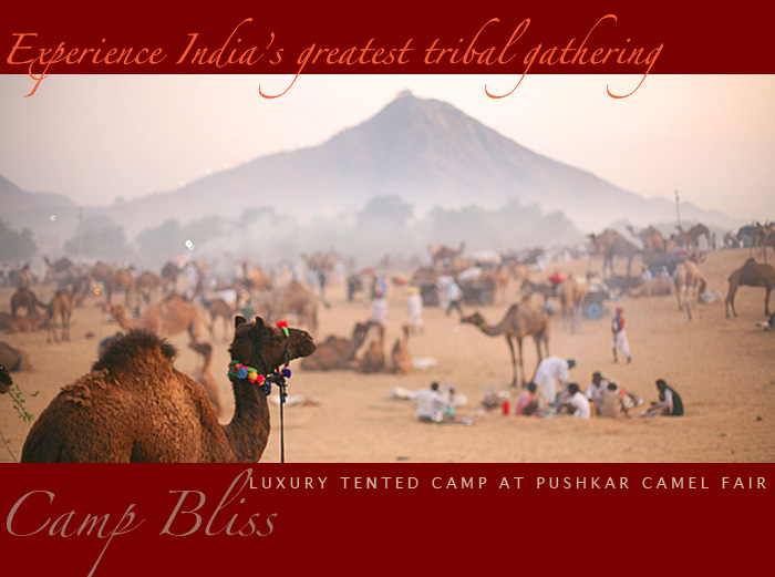 Pushkar Camel Fair - pushkarcamelfair
