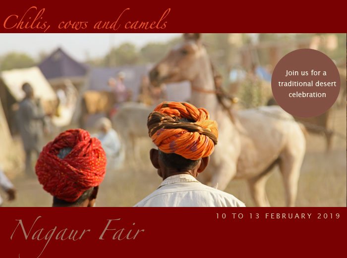 Pushkar Camel Fair 